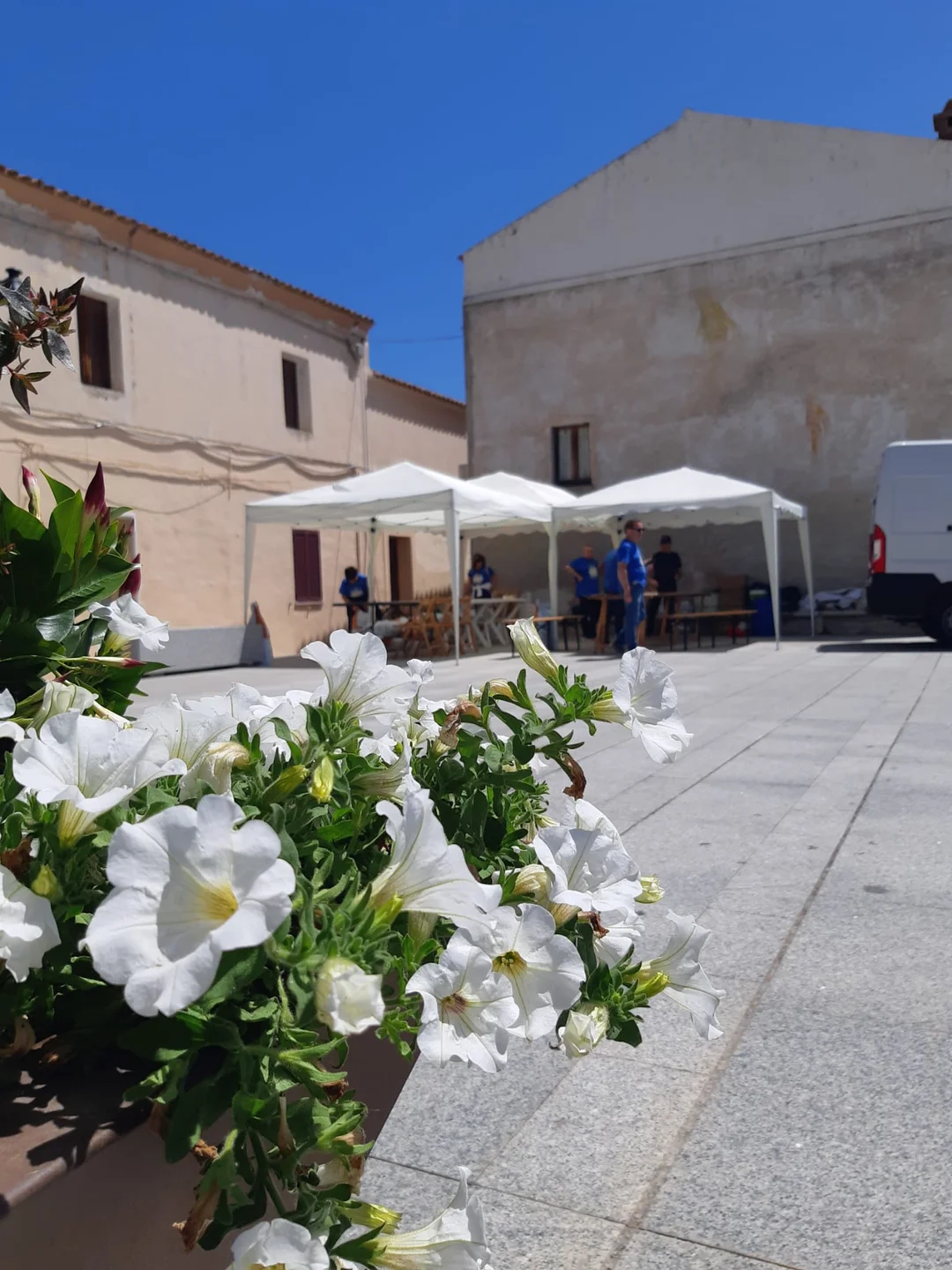 SAN TEODORO IN FIORE 2024 | San Teodoro (SS)
