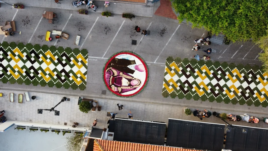 SAN TEODORO IN FIORE 2024 | San Teodoro (SS)